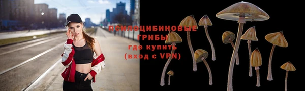 круглые Арсеньев