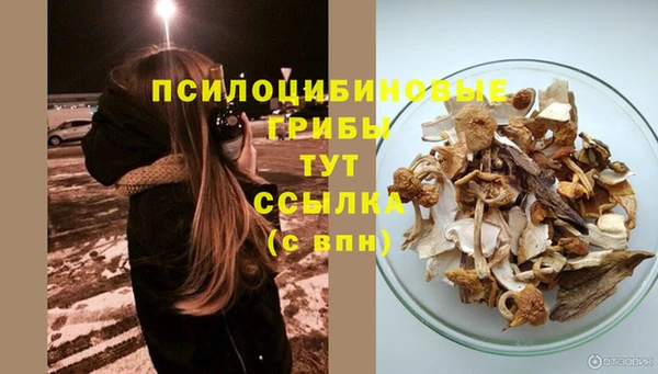 кокс Армянск