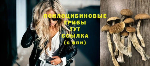 герыч Аркадак